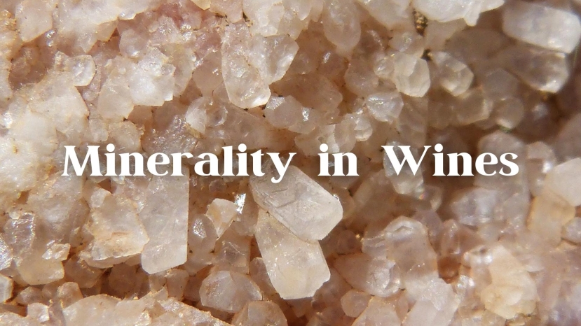 Minerality in Wine with Alex Maltman