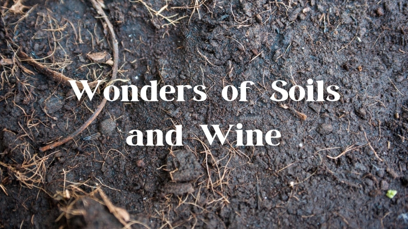 Wonders of Soil and Wine - Wine Geology Q&amp;A with Alex Maltman