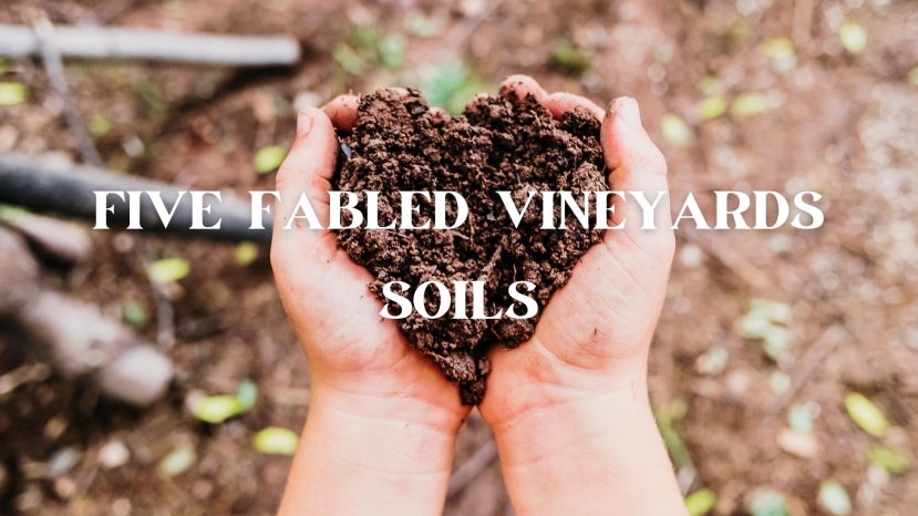 Five Fabled Vineyard Soils with Alex Maltman